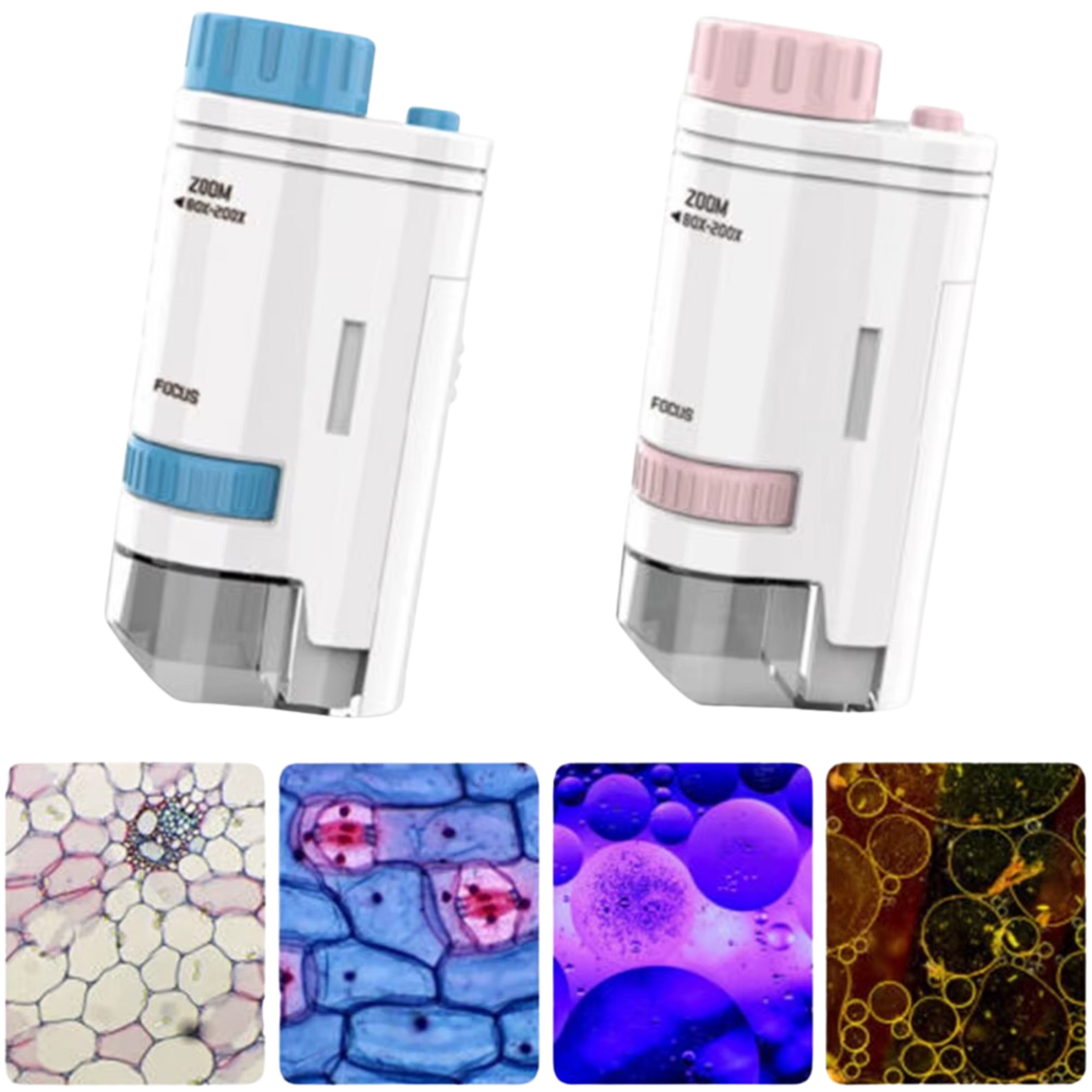 TERRADERO™ Mini Microscope Science Kit for Kids