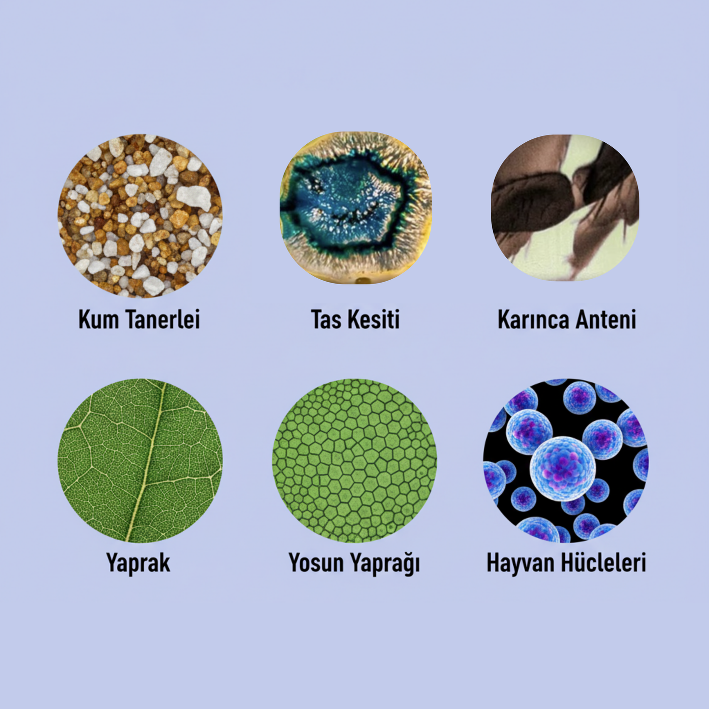 TERRADERO™ Çocuklar için Mini Mikroskop Bilim Kiti